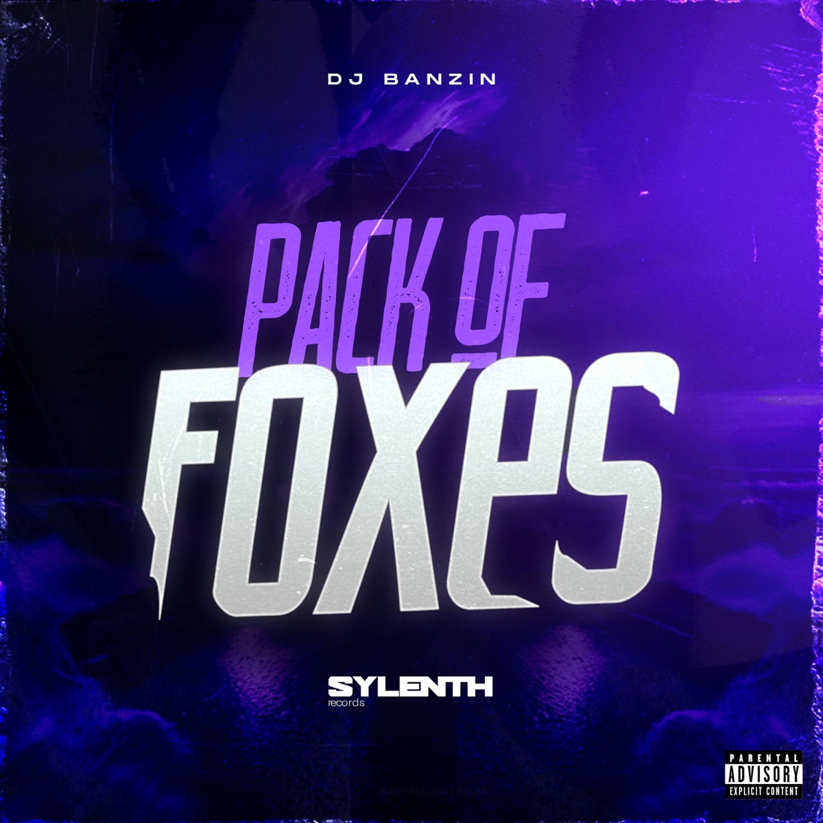 Pack Of Foxes by DJ Banzin album cover