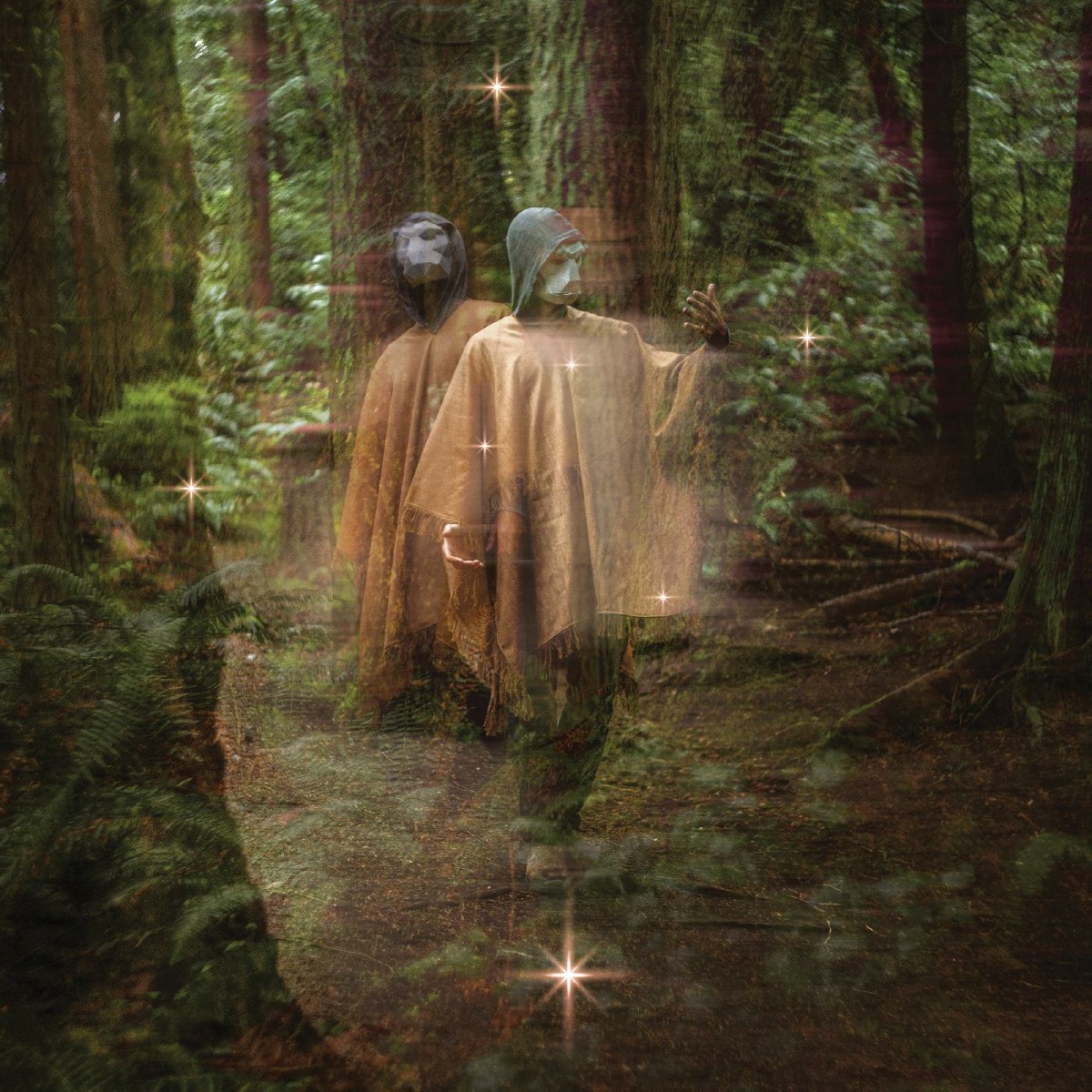 Forastero by Terror/Cactus album cover