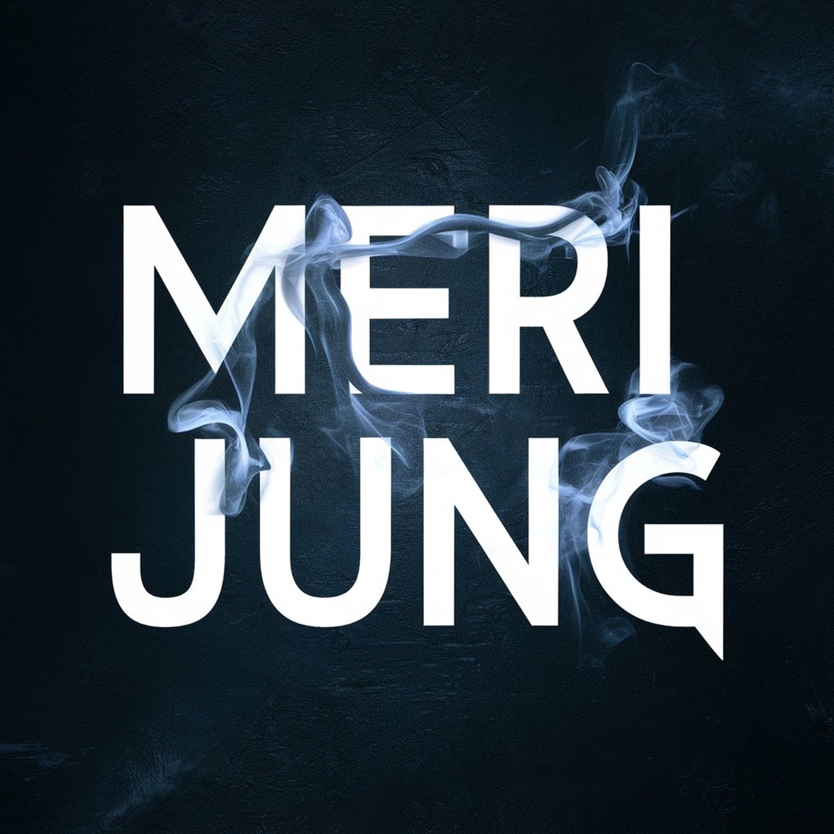 Meri Jung - Single by Rap Wala Jatt & Dj Faizi album cover