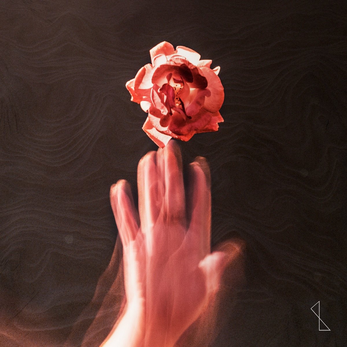 Qué Pasará en Mayo? - EP by 0xLxxl, Alex HZP & ROSE DROP album cover