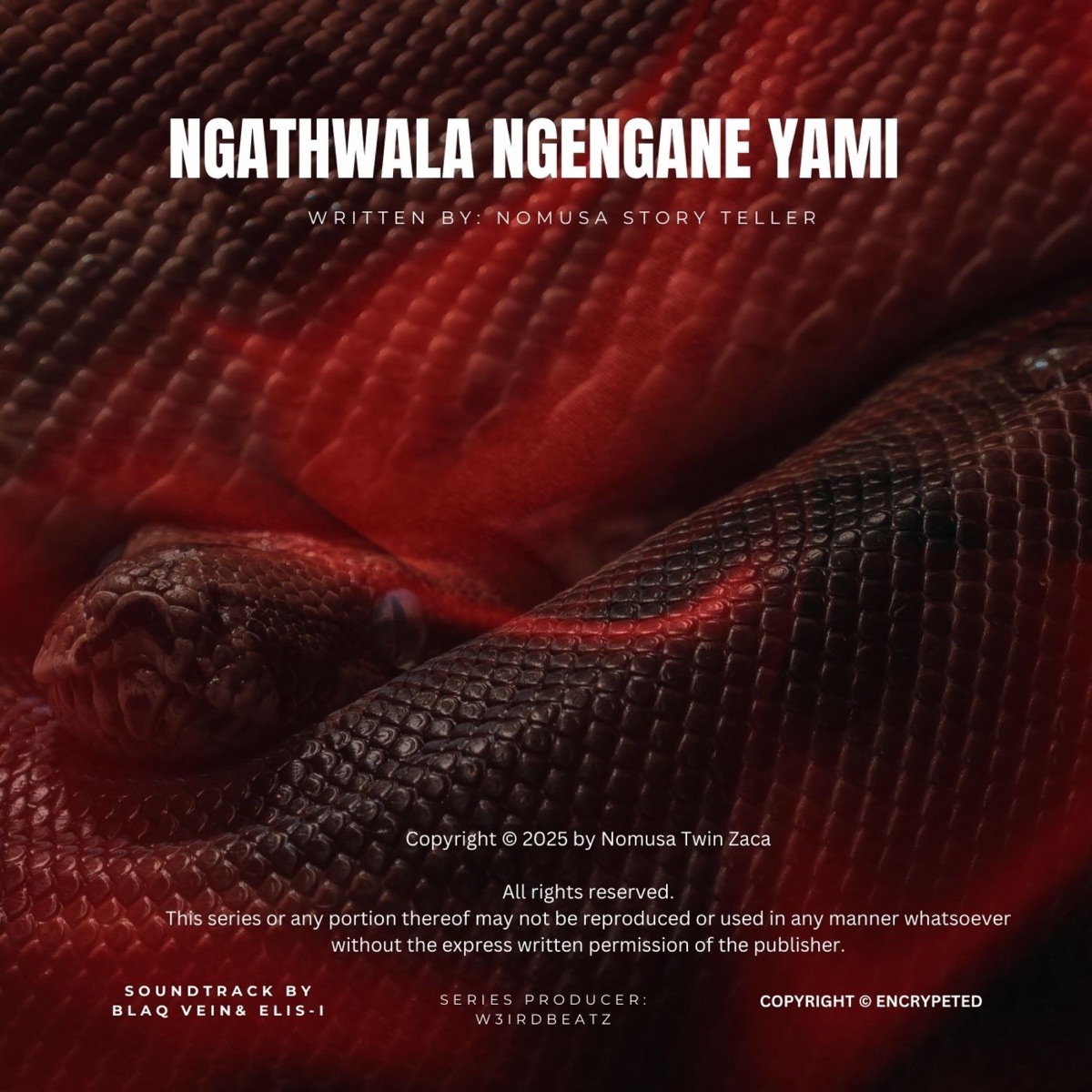 Ngathwala Ngengane Yami, Pt. 3 - Single by Weirdo album cover