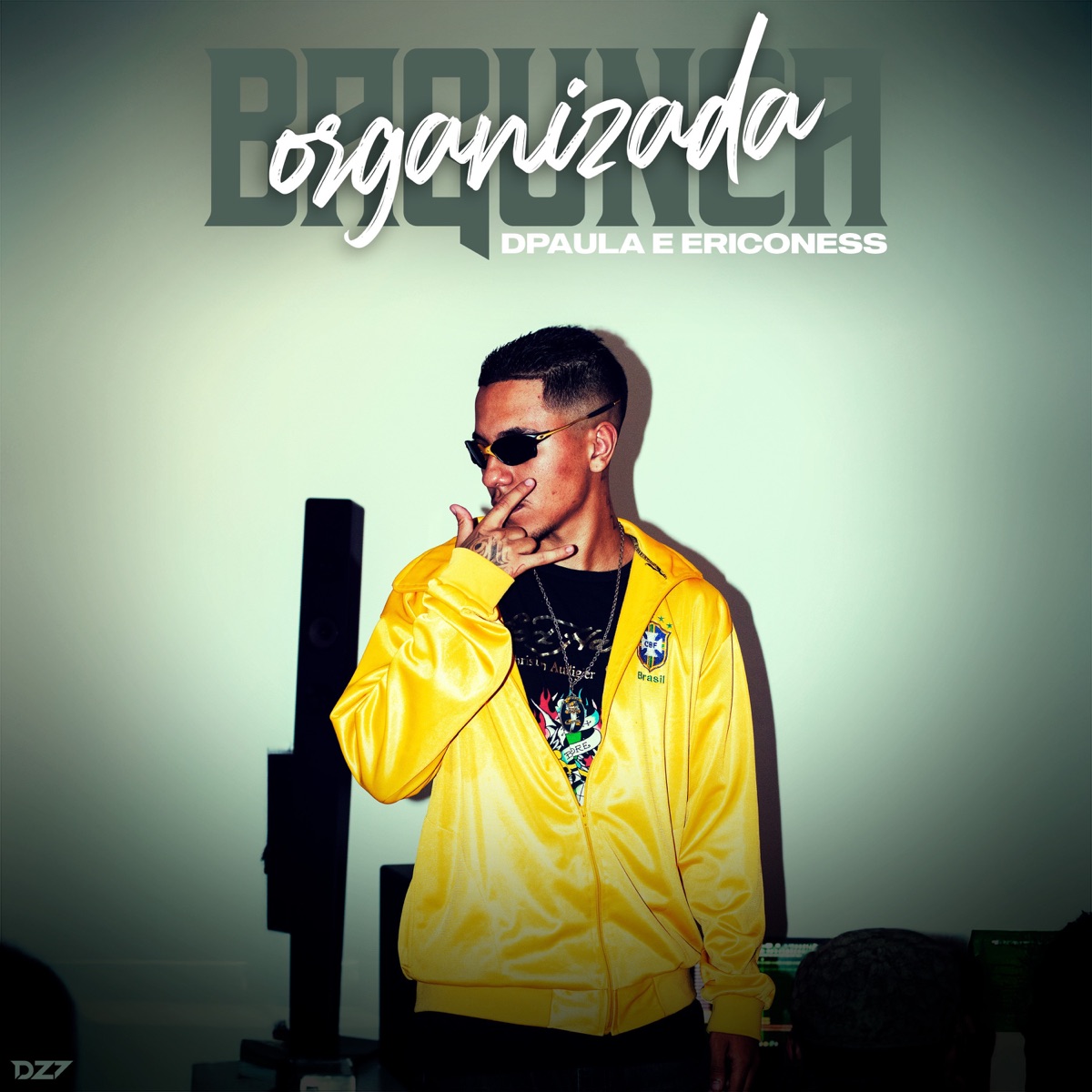 BAGUNÇA ORGANIZADA - Single by Dpaula & Ericoness album cover