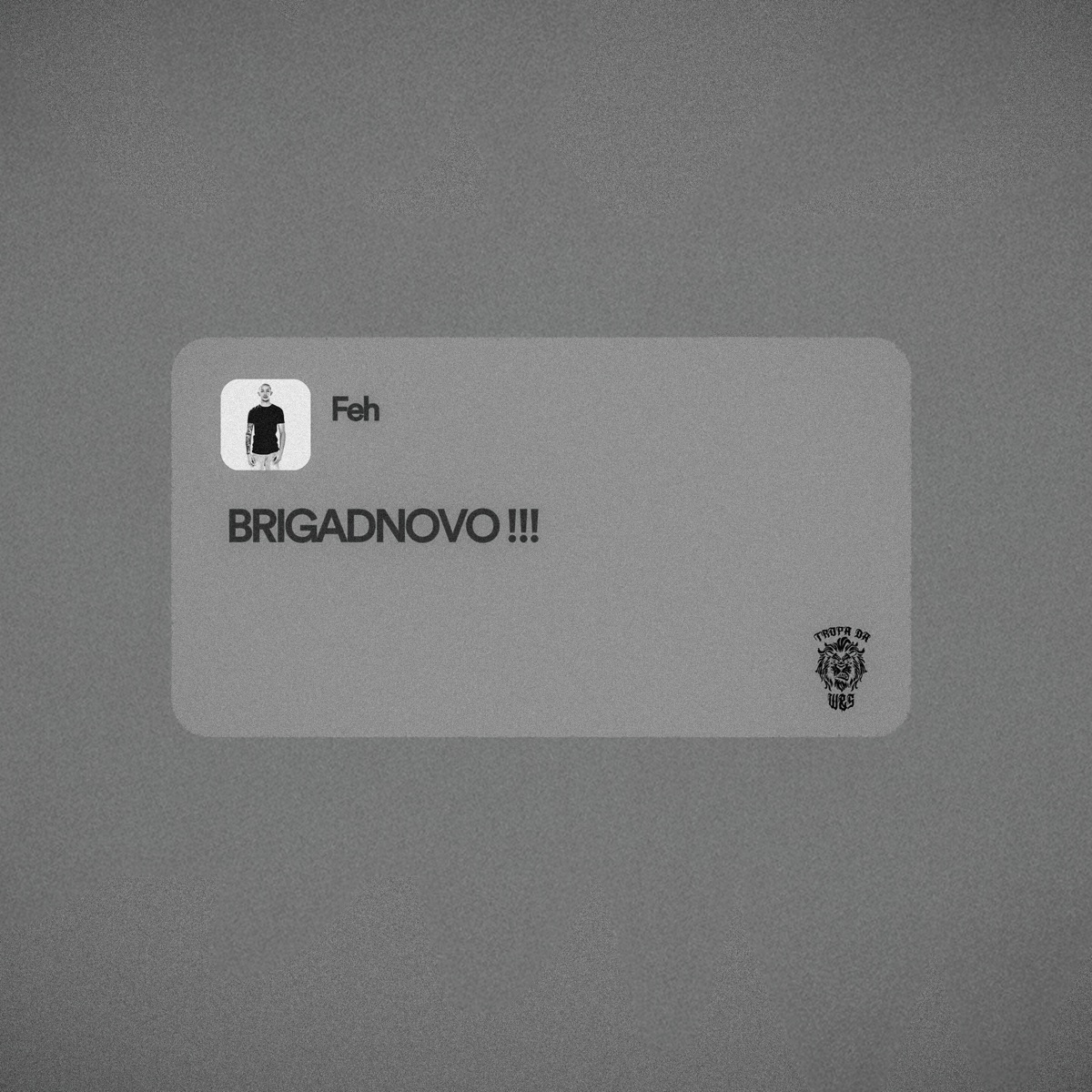 Briga de Novo - Single by Feh & AION album cover