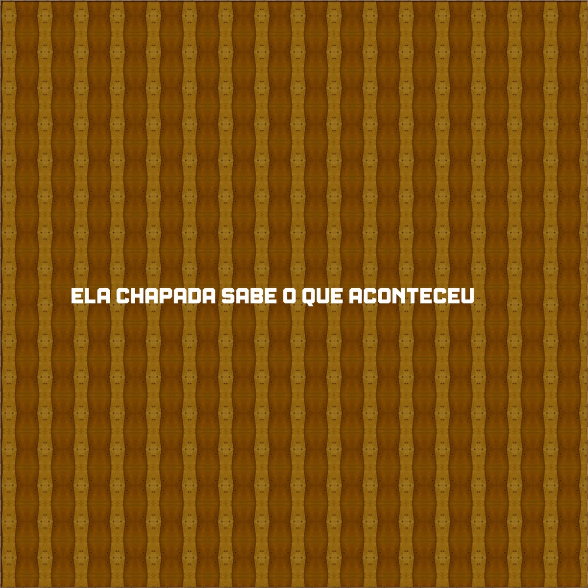 ela chapada sabe o que aconteceu - Single by DJ Menor album cover