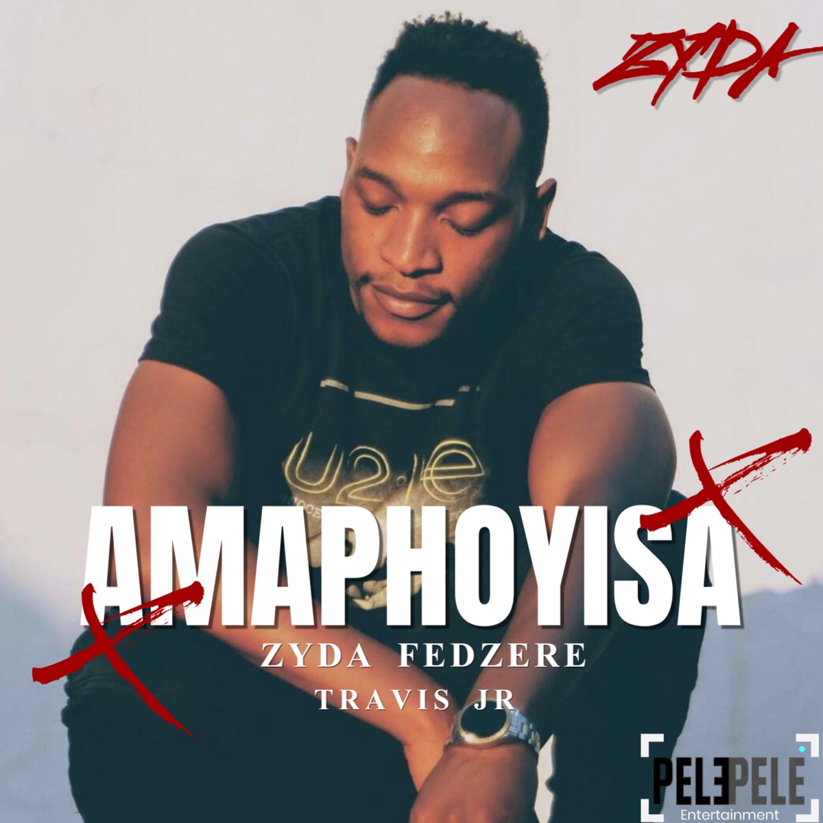 Amaphoyisa - Single by ZYDA, Fedzere & Travis Jr album cover