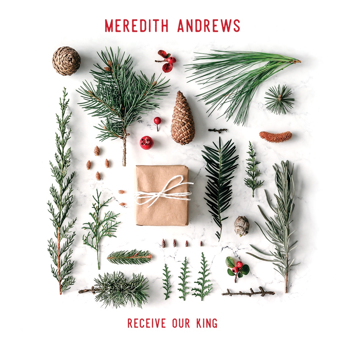 Receive Our King by Meredith Andrews album cover