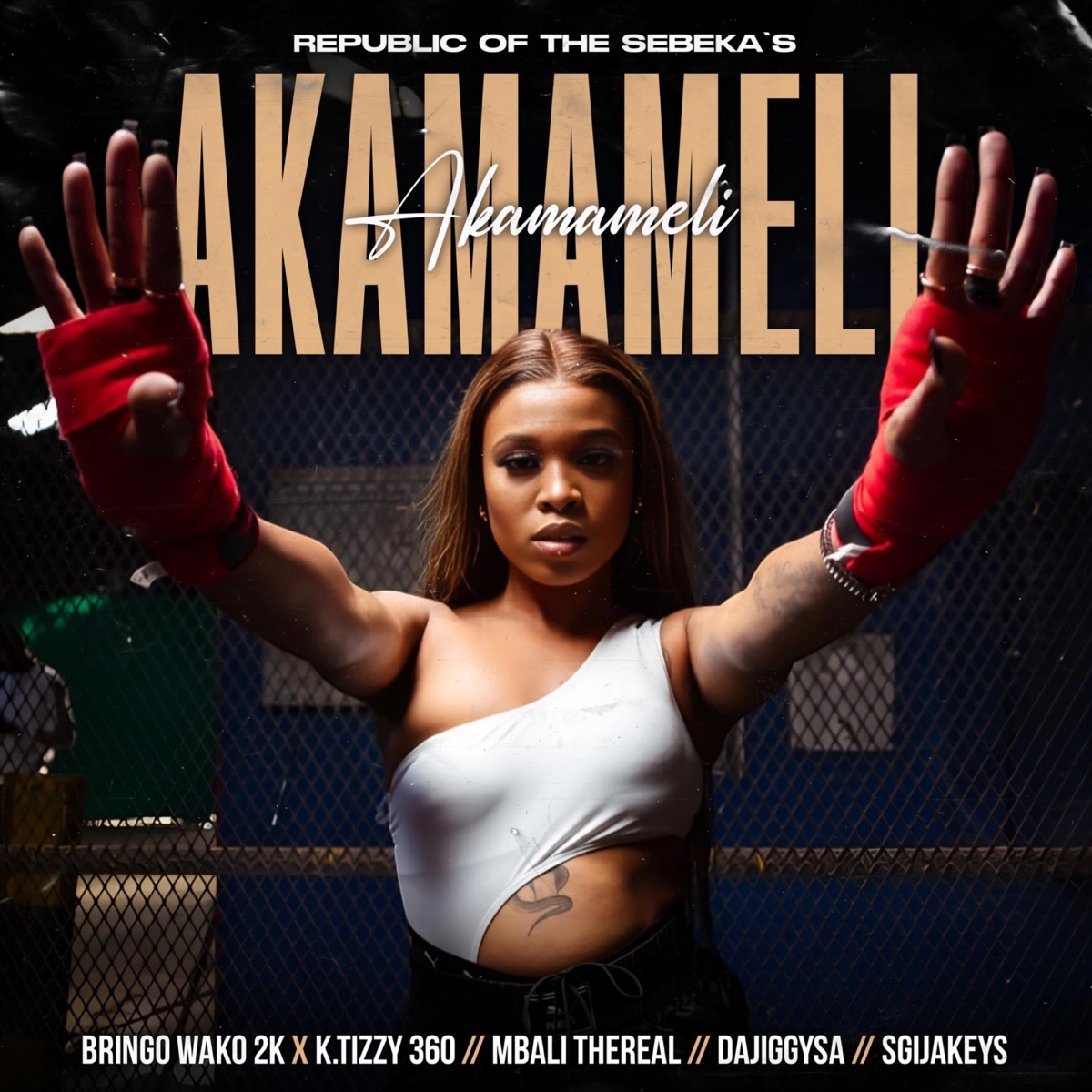 AKAMAMELI (feat. Bringo wako 2k, Mbali thereal, Dajiggysa & Sgijakeys) [Radio Edit] - Single by K.tizzy album cover