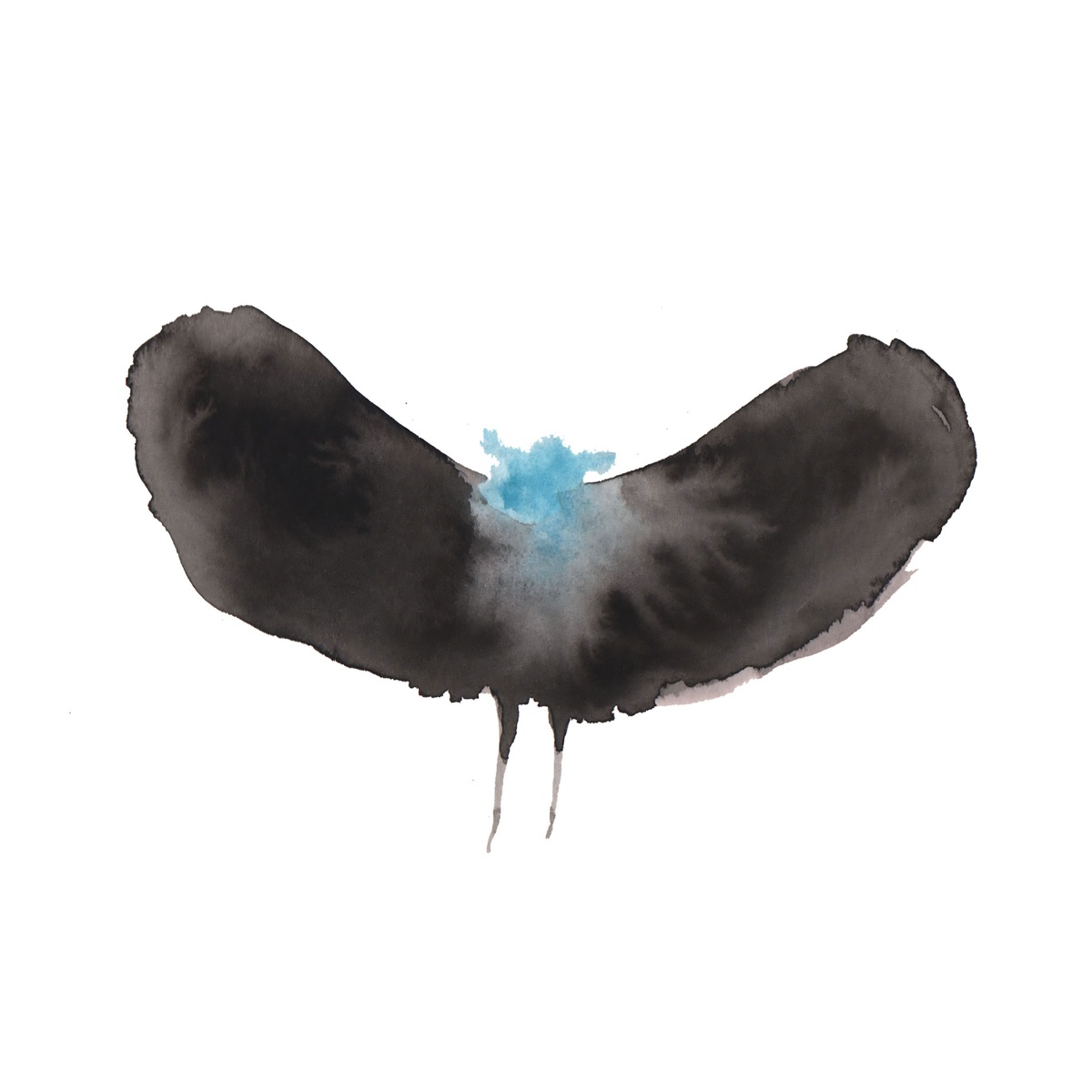 HAYWARDxDÄLEK by Dälek & Charles Hayward album cover