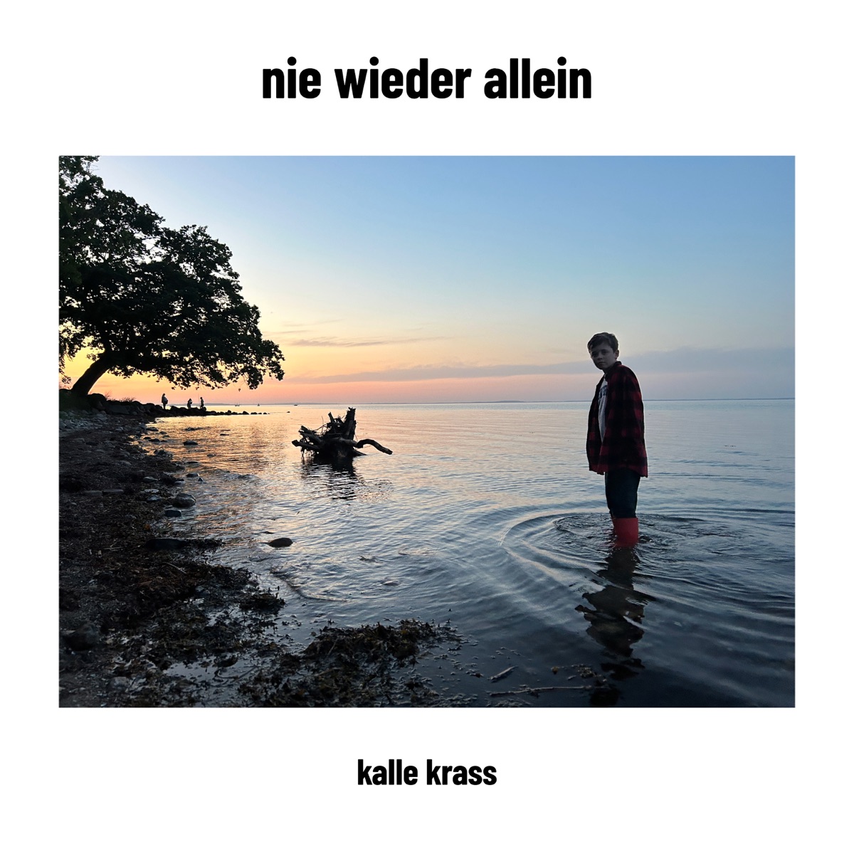 nie wieder allein - Single by Kalle Krass album cover