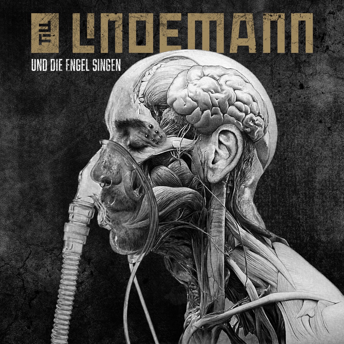 Und die Engel singen - Single by Till Lindemann album cover