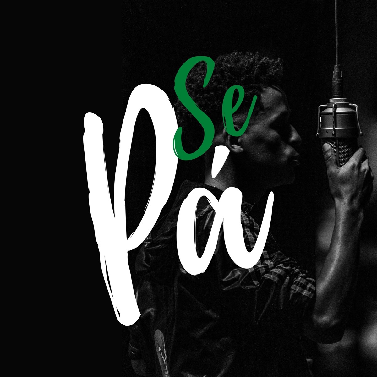 Se Pá - Single by Ney Moura album cover