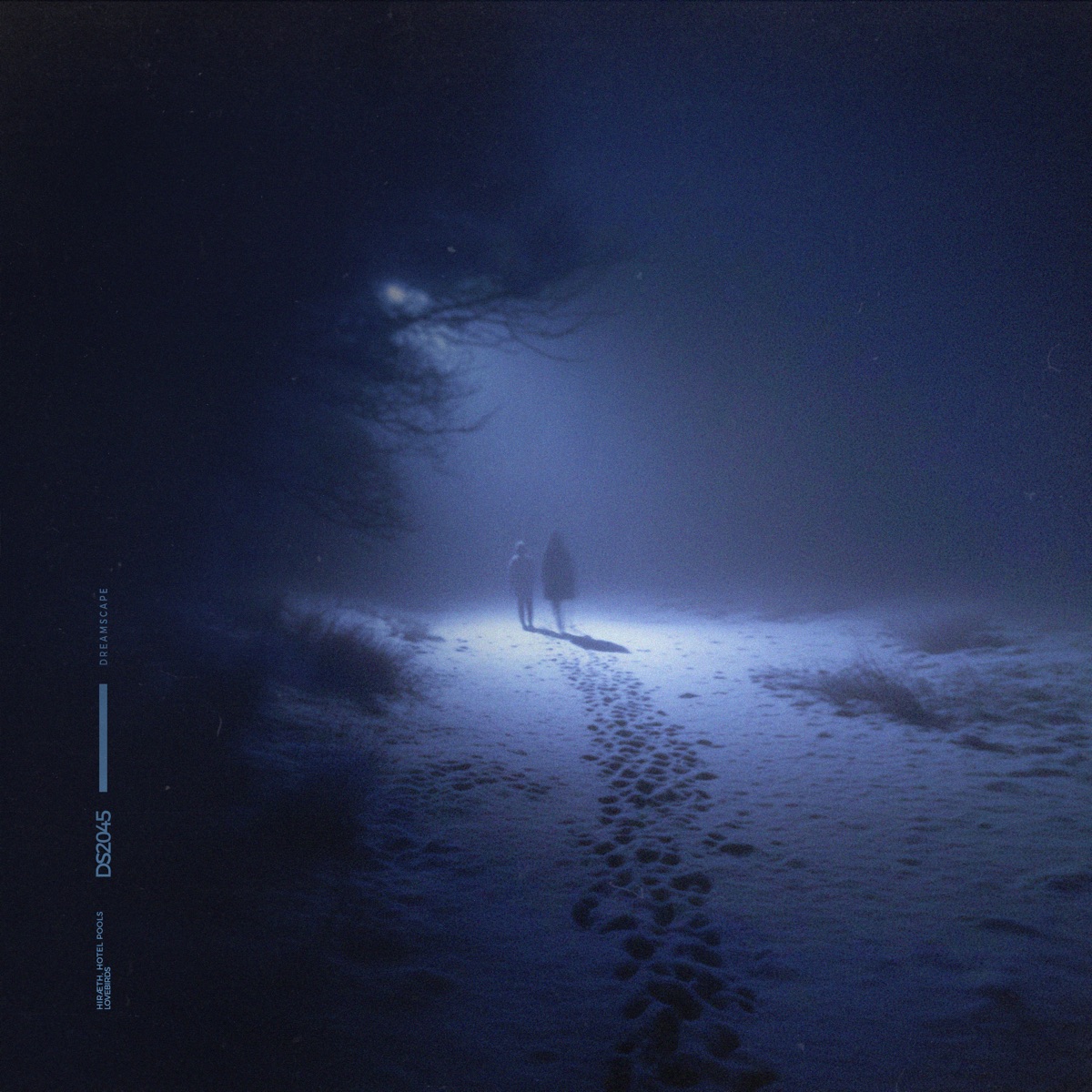 lovebirds - Single by ‎hiræth & Hotel Pools album cover