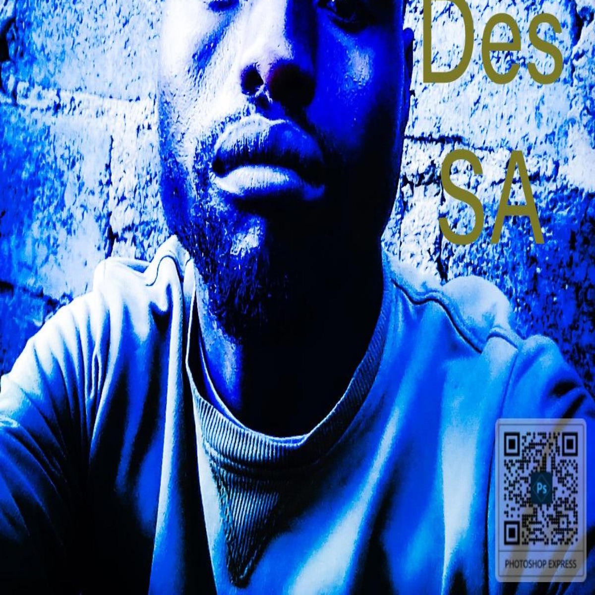 Into the night - Single by DJ DES SA album cover
