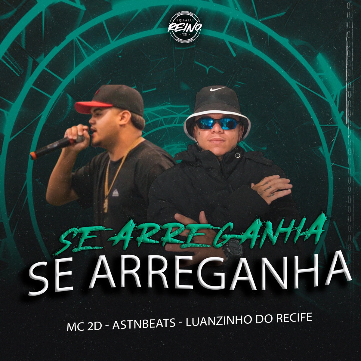 SE ARREGANHA - Single by Luanzinho do Recife, Mc 2D, astnbeats & TROPA DO REINO album cover