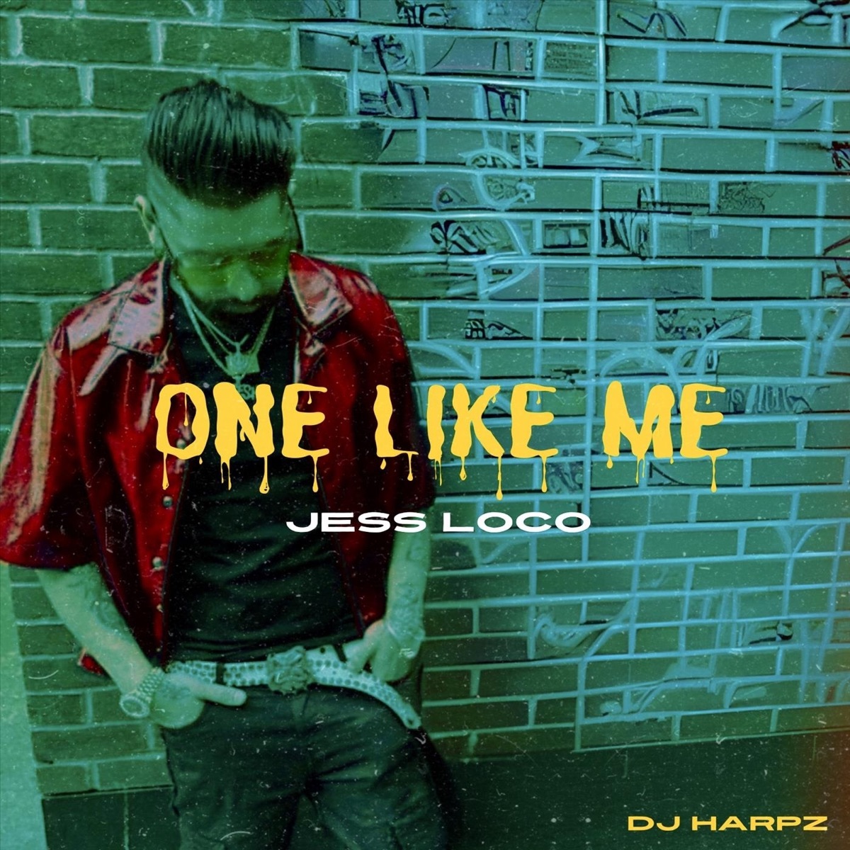 One Like Me (feat. DJ Harpz) - Single by Jess Loco album cover