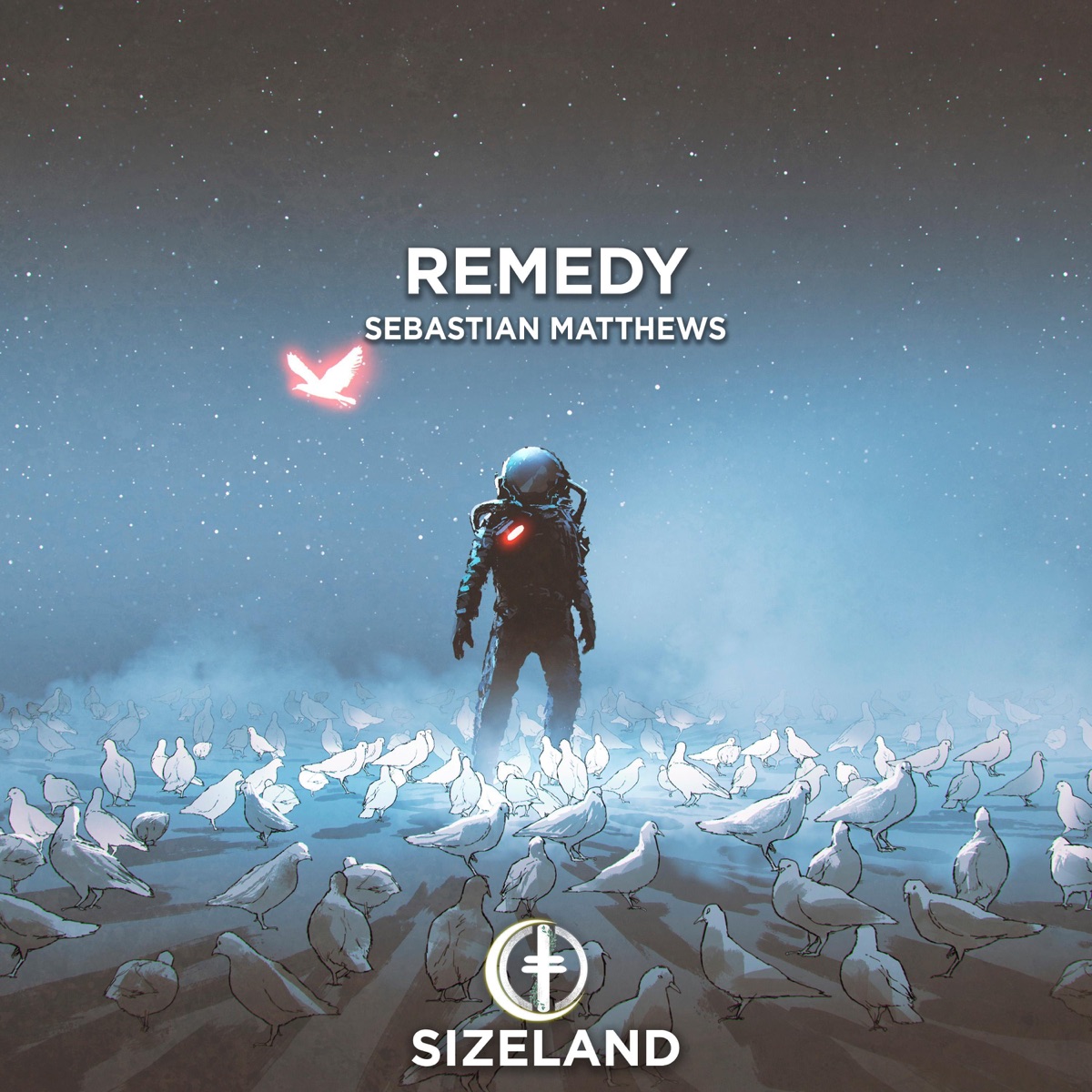 Remedy - Single by Sebastian Matthews album cover