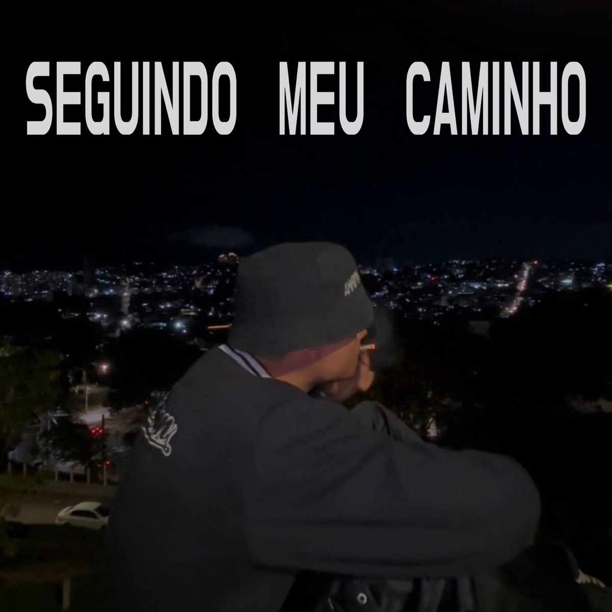 Seguindo Meu Caminho (feat. DS DO HAVAI & Marrakesh) - Single by GOMZ SHEIK album cover