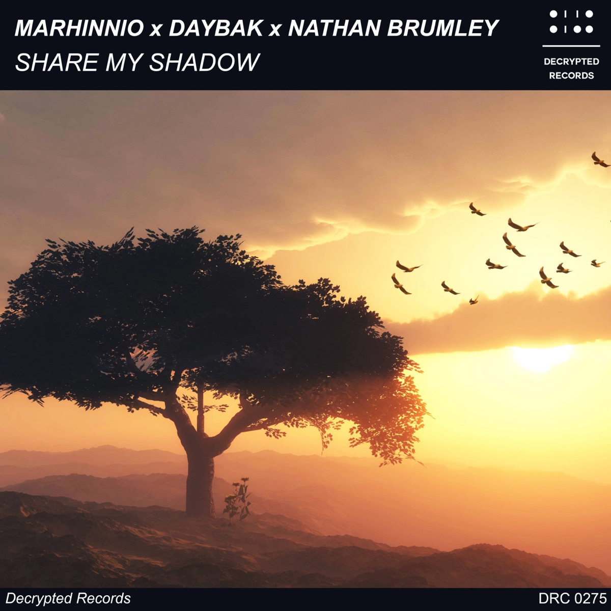 Share My Shadow - Single by Marhinnio, DaybaK & Nathan Brumley album cover