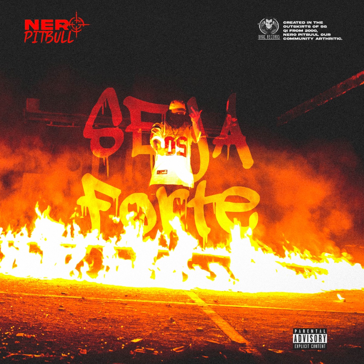 Seja Forte - Single by Drac records, Dj Gs da Reta velha & Nero Pitbull album cover
