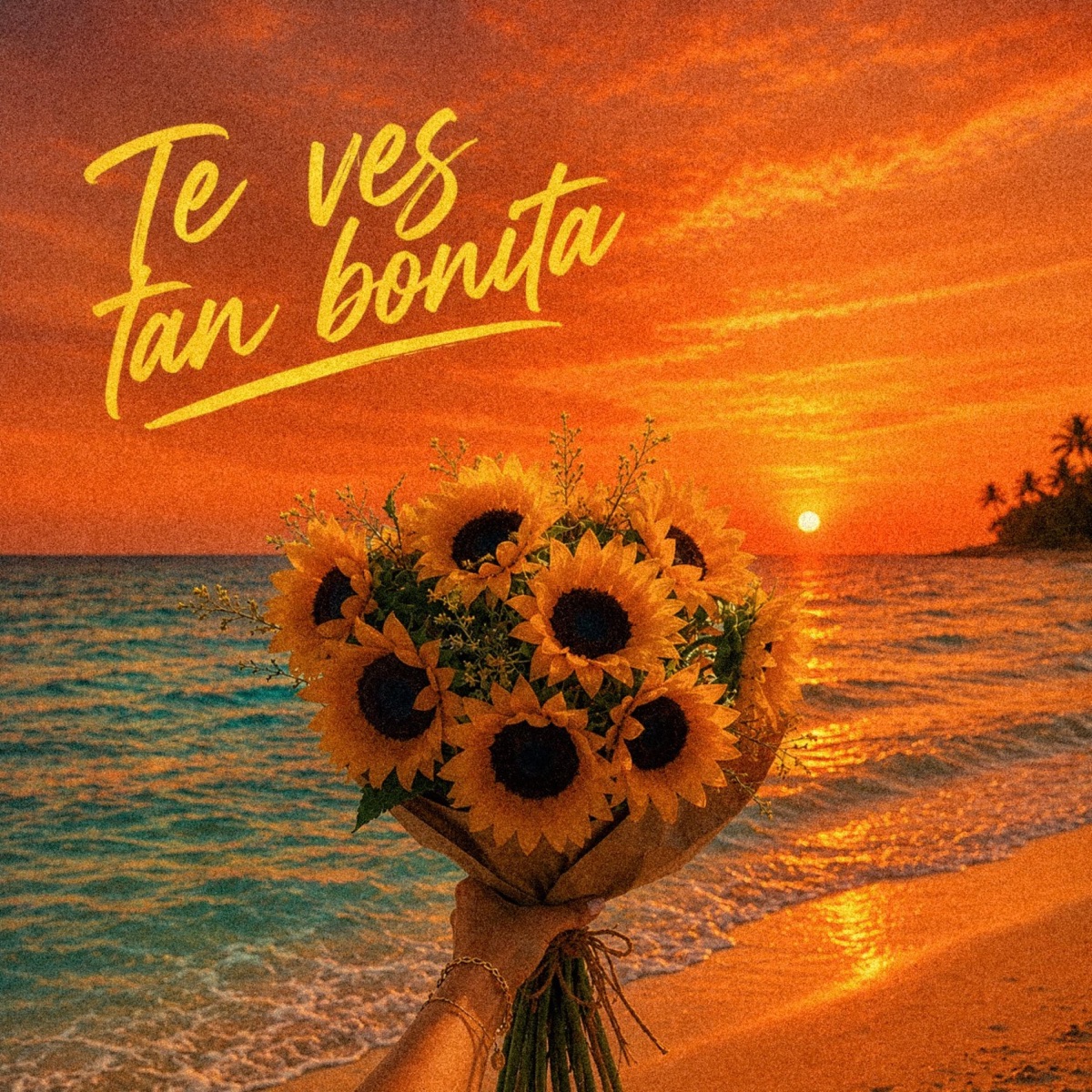 Te Ves Tan Bonita - Single by Dani Senay album cover