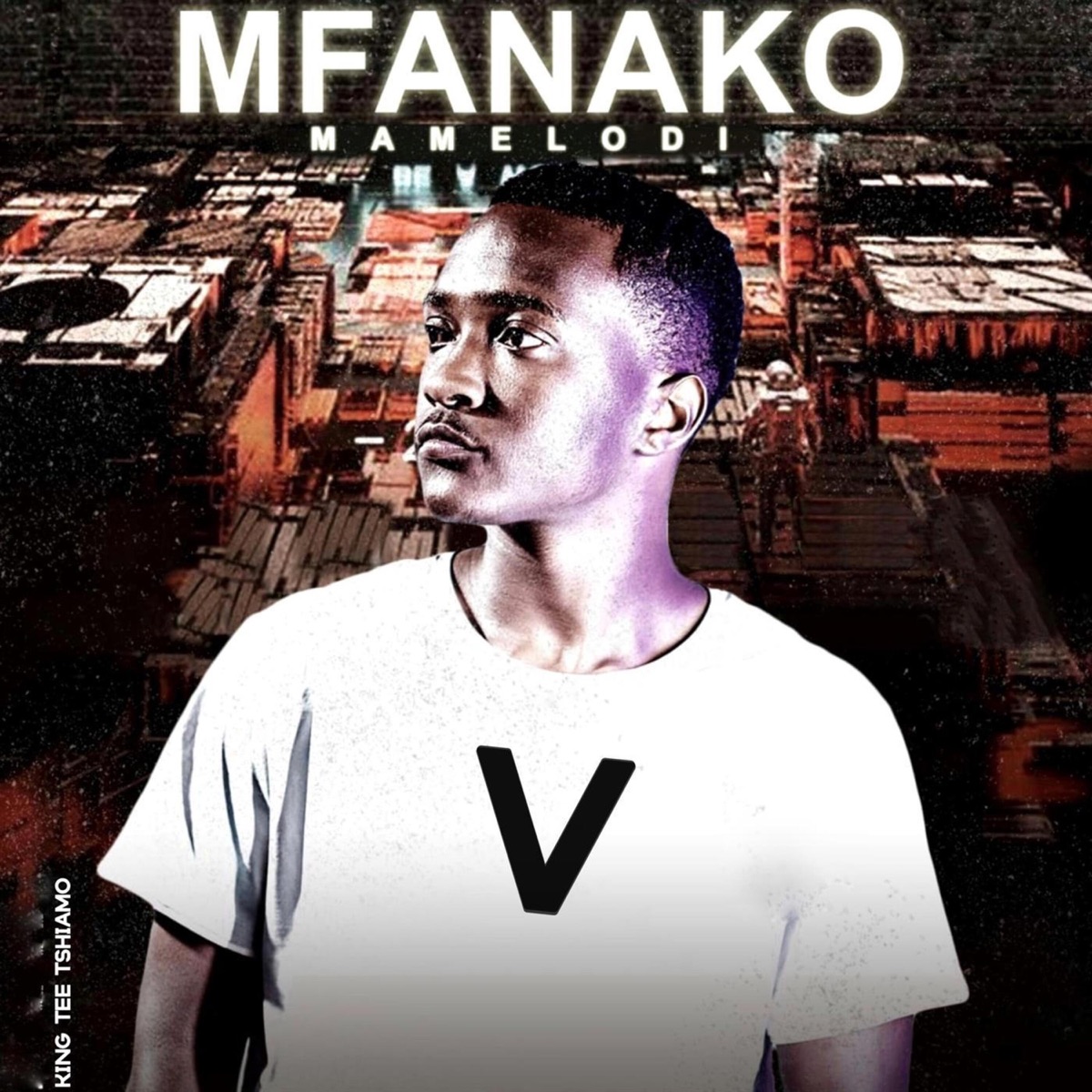 Mfanako Mamelodi V - EP by King Tee TshiamO album cover
