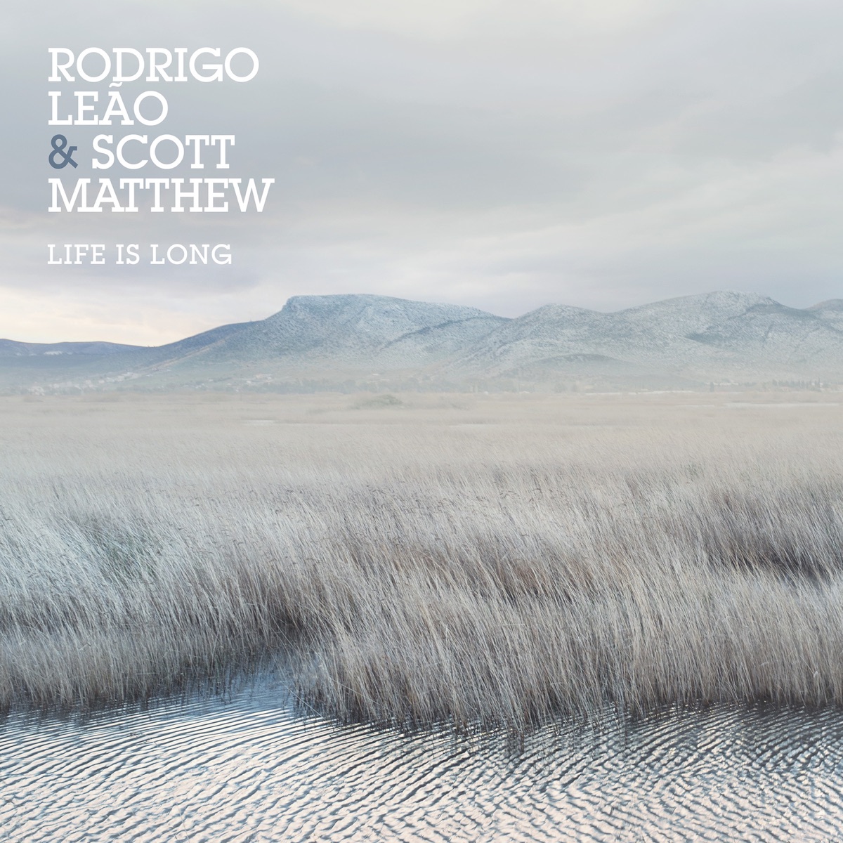 Life Is Long by Rodrigo Leão & Scott Matthew album cover