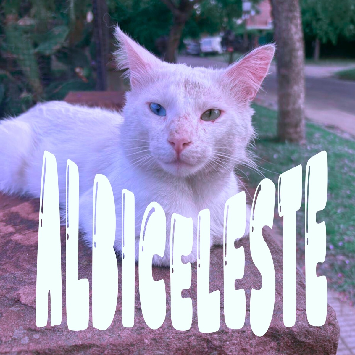 ALBICELESTE - Single by Comodín album cover