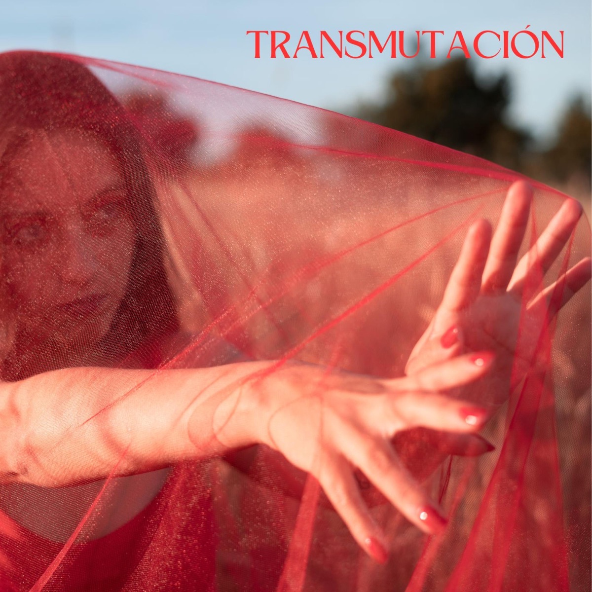 Transmutación - EP by Delirante suspiro album cover
