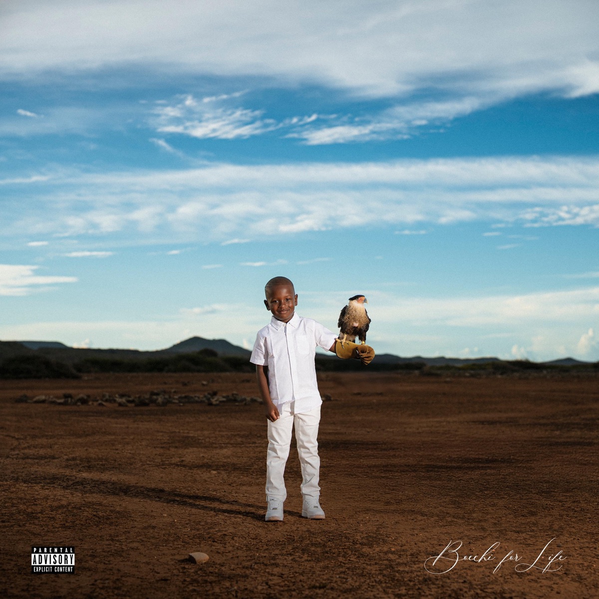 Boechi For Life by Boechi album cover
