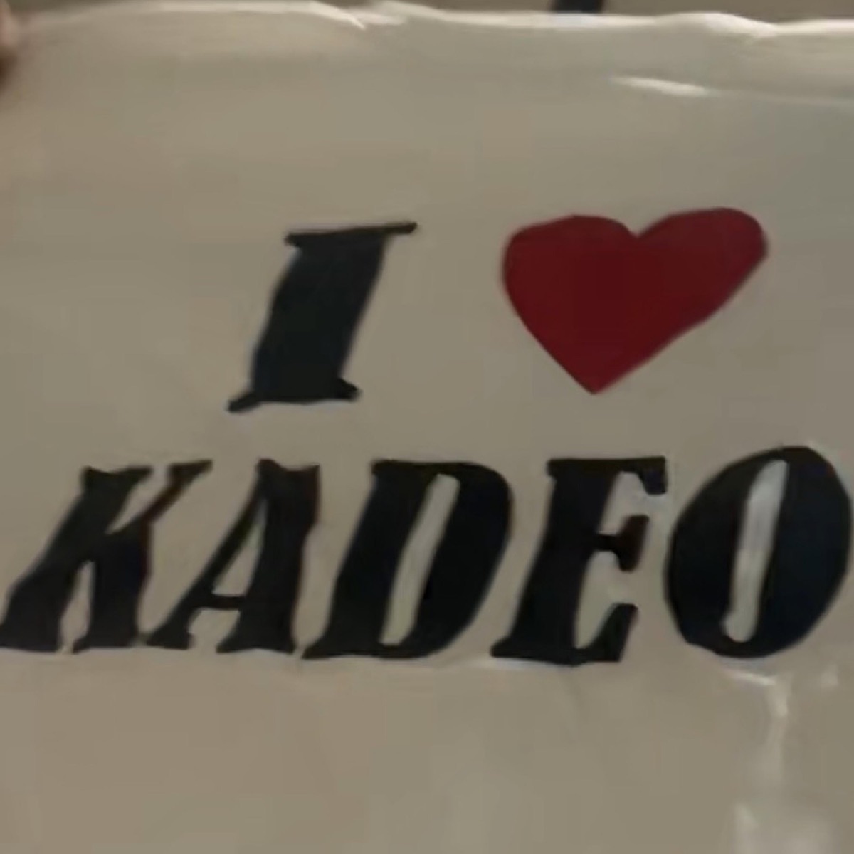 bad bish magnet - Single by Kadeo album cover