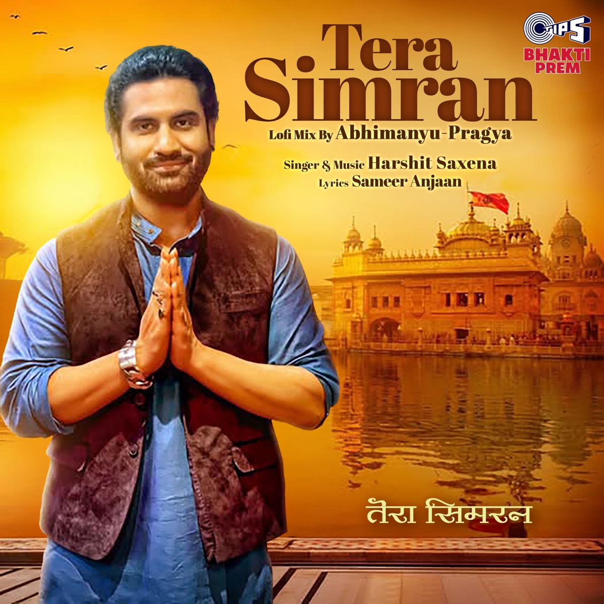 Tera Simran (Lofi Mix) - Single by Harshit Saxena & Abhimanyu-Pragya album cover