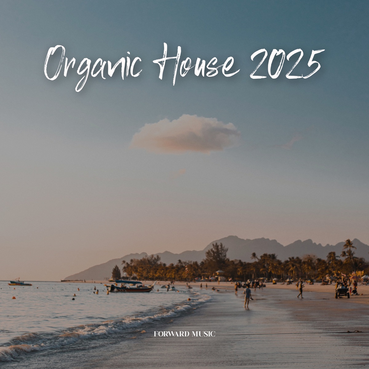 Organic House #04 by Jean Caillou, NOBLE SPIRITS & Rayomand album cover