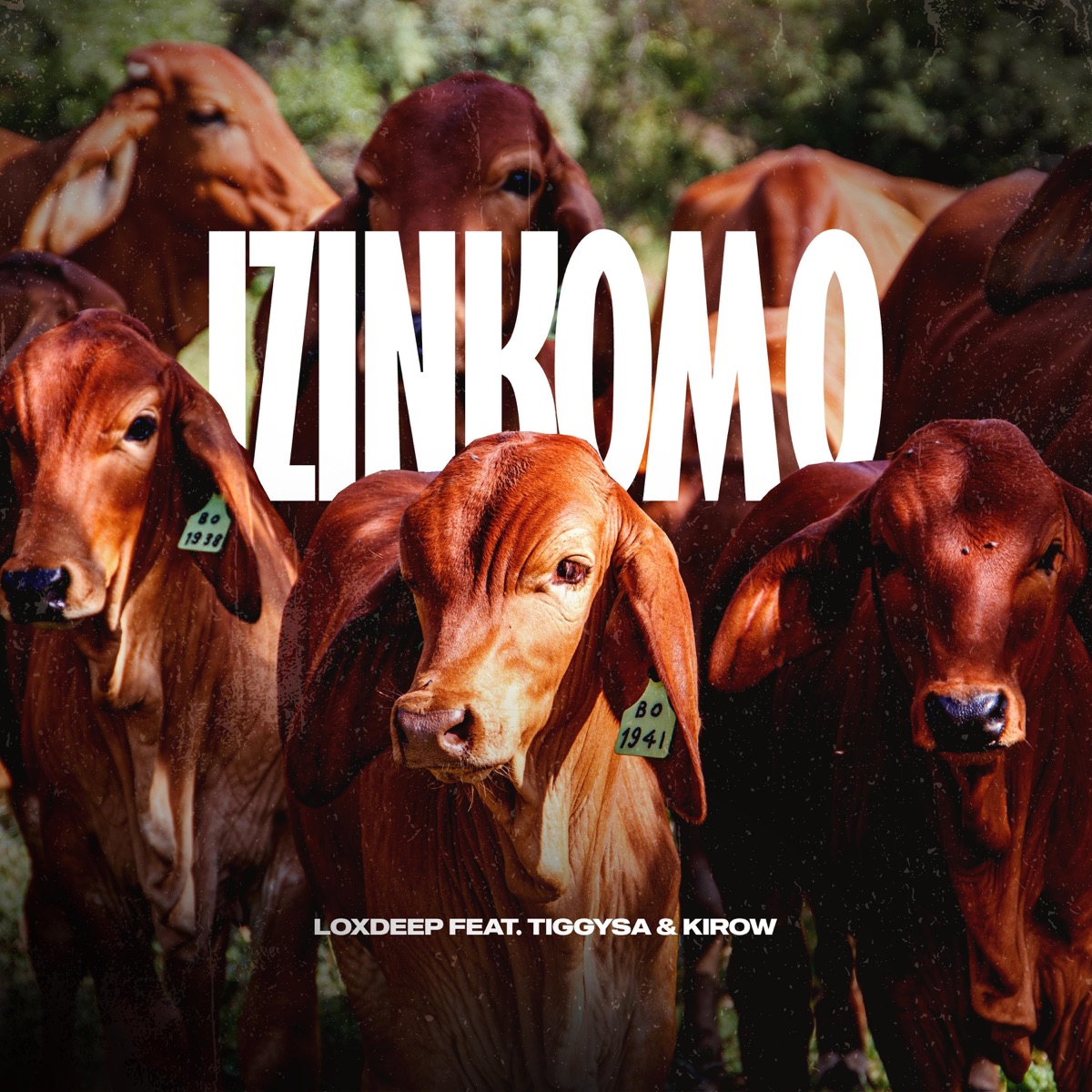 Izinkomo (feat. TiggySA & Kirow) - Single by LoxDeep album cover
