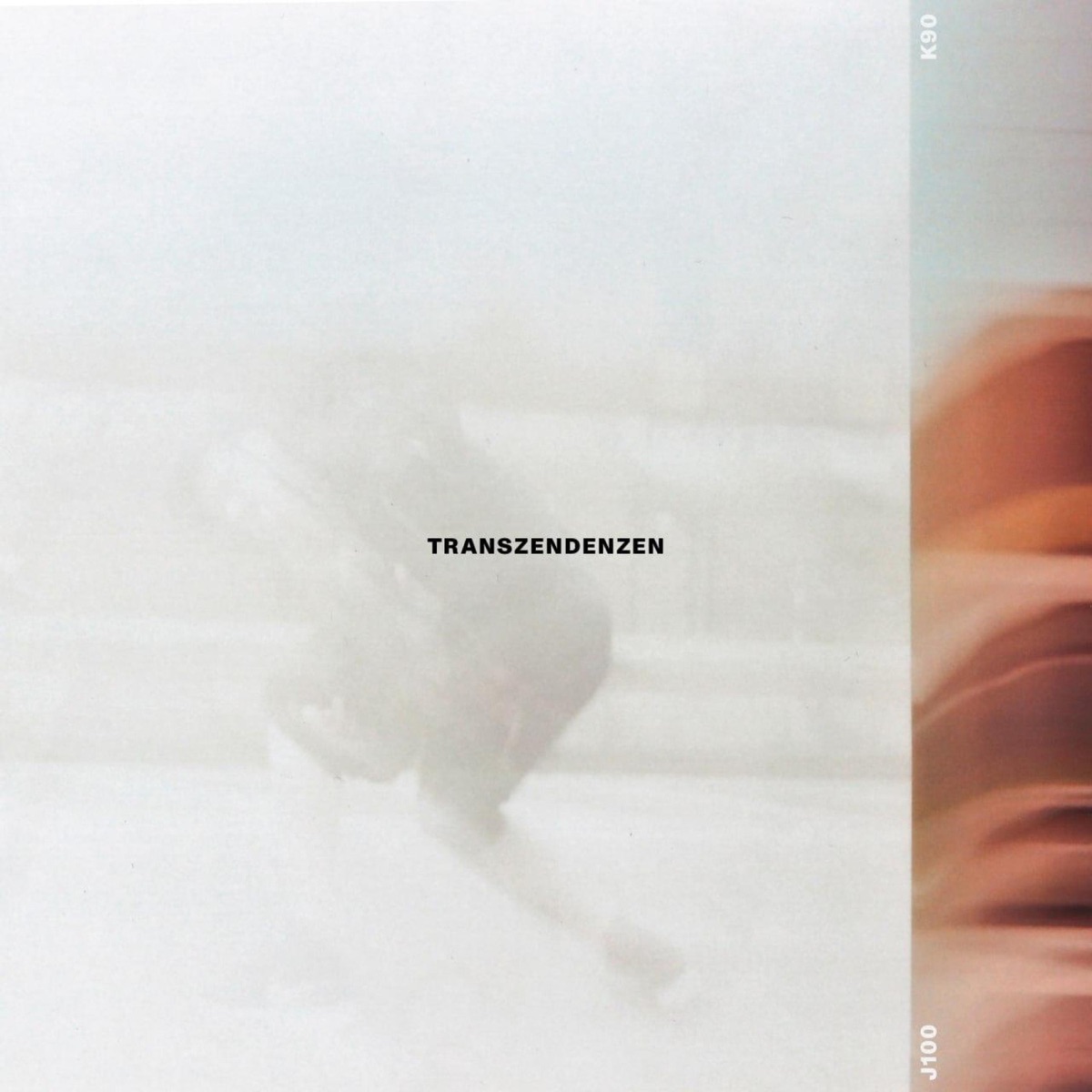 Transzendenzen - Single by Jimmy Hundertwasser & Klaus 90 album cover