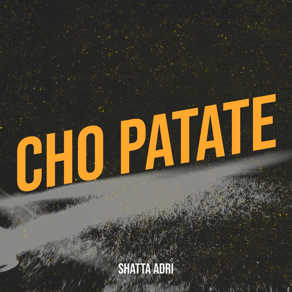 Cho Patate - Single by SHATTA ADRI album cover
