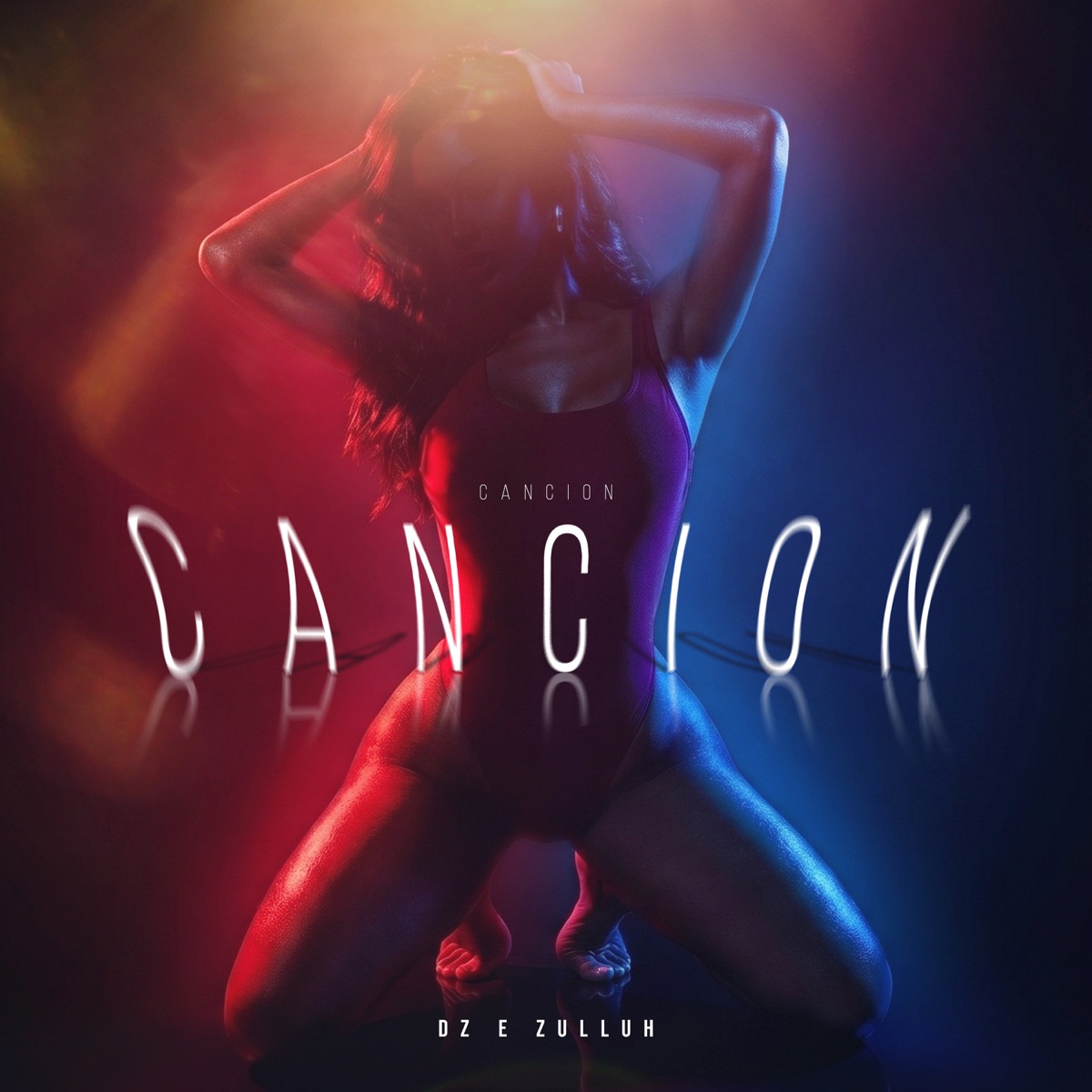 Cancion - Single by DZ & Zulluh album cover