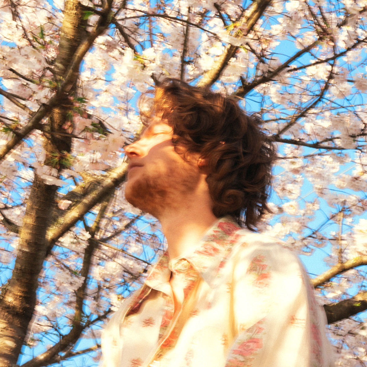 Fruit from the Trees by Jack Van Cleaf album cover