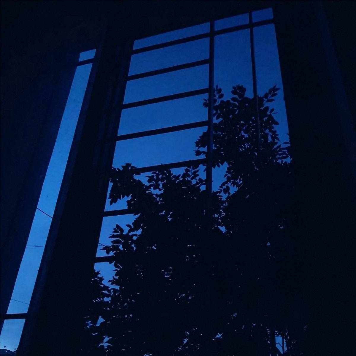 Dreamfall - Single by SHADXWRXZE & NIGHT SNOW album cover