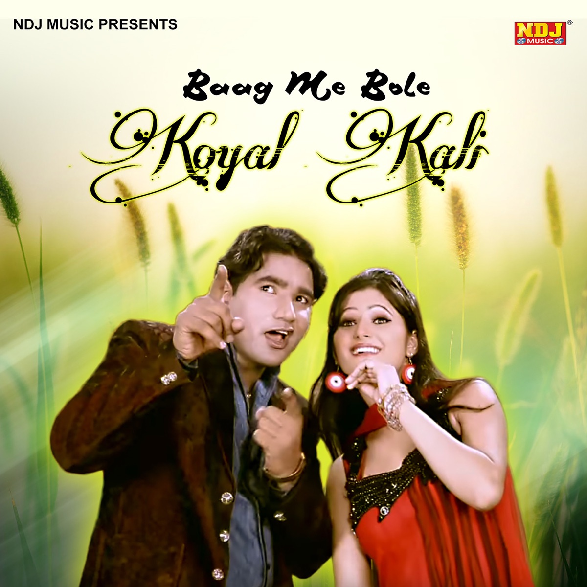 Baag Me Bole Koyal Kali - Single by Pawan Pilania album cover