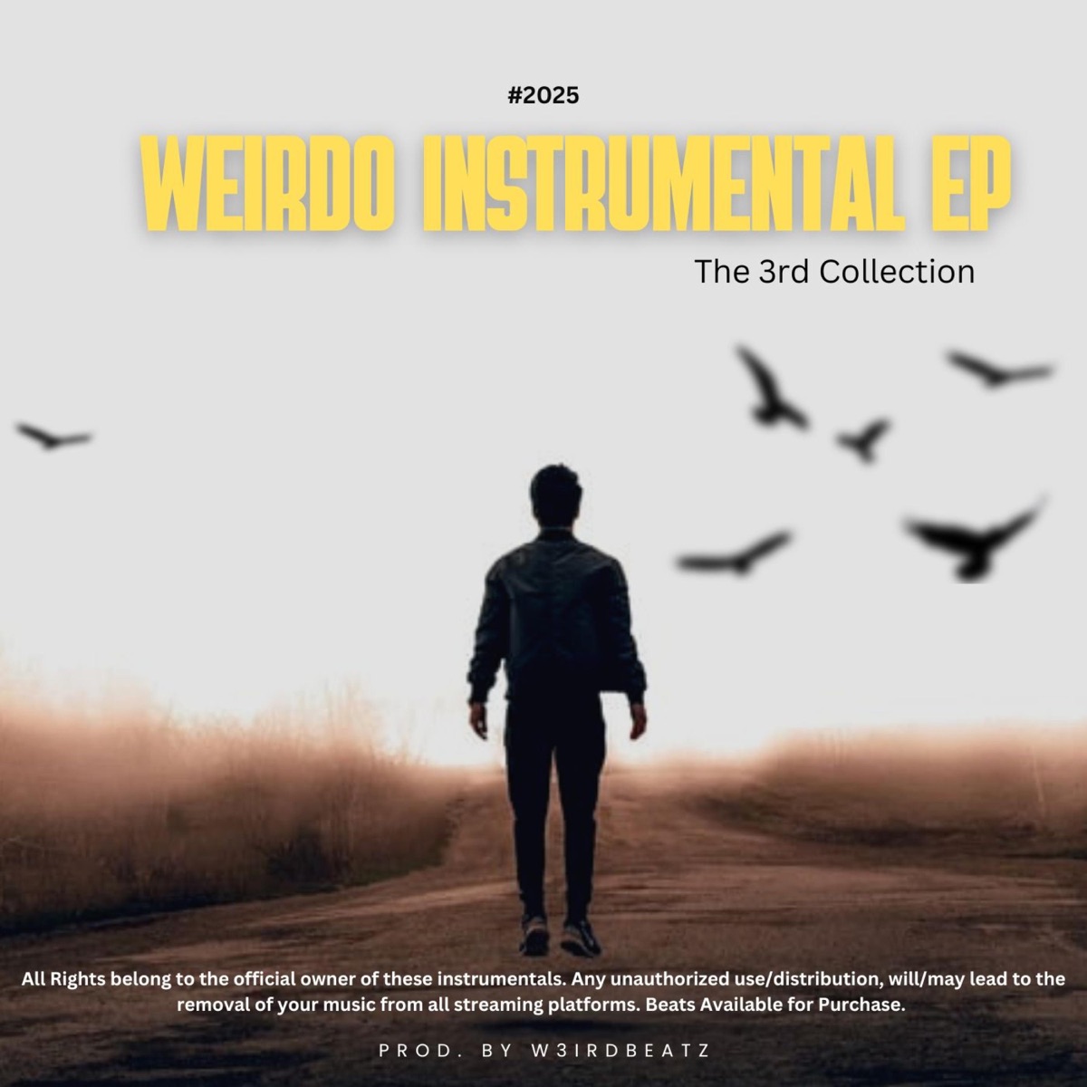 Weirdo Instrumental EP The 3RD Collection (Instrumental) - EP by Weirdo album cover