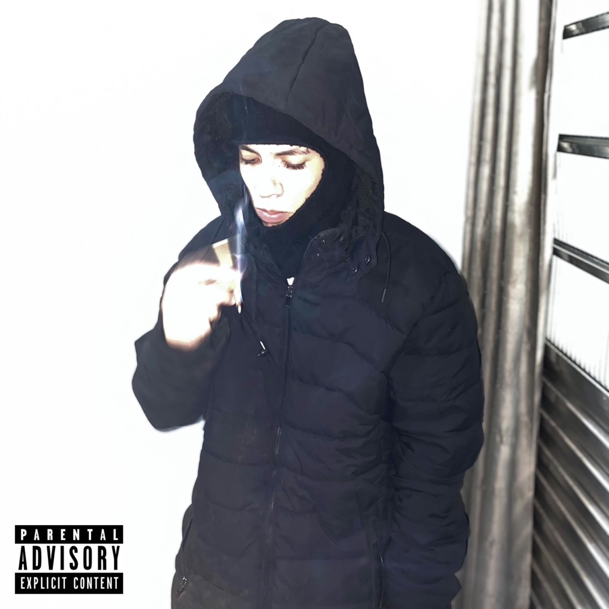 Novo Rico - Single by AlvaSlatt album cover