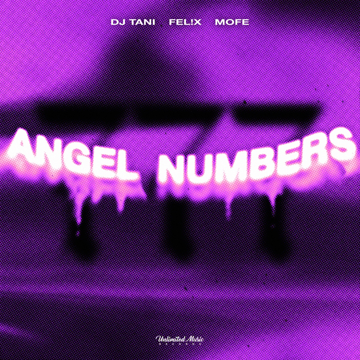 Angel Numbers - Single by dj tani, FEL!X & MOFE album cover