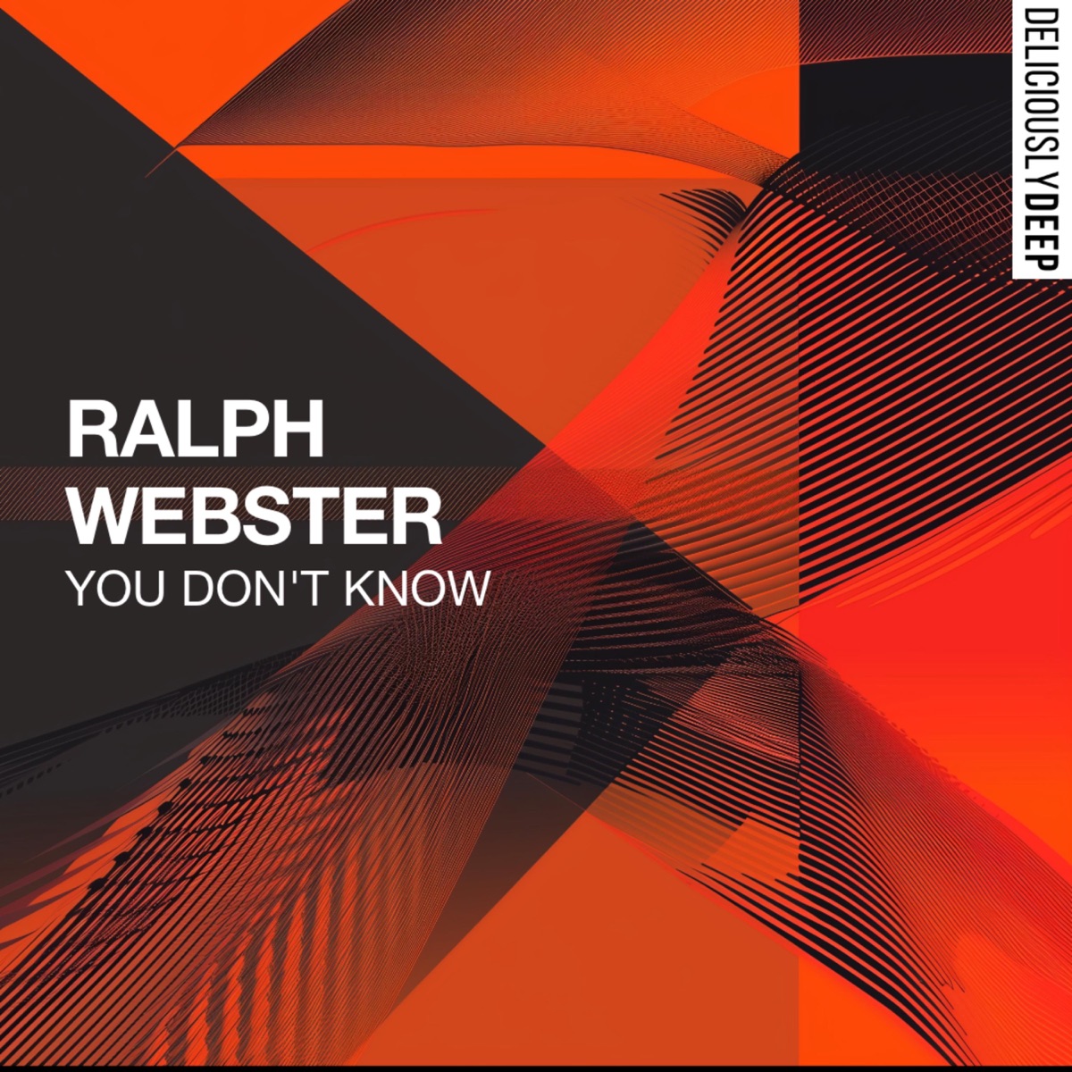 You Don't Know - Single by Ralph Webster album cover