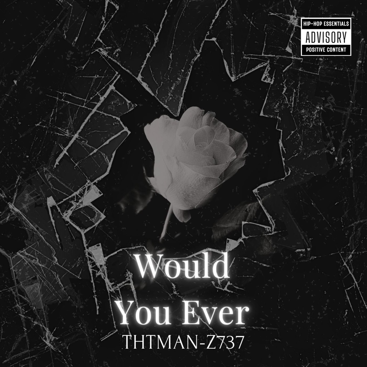 Would You Ever - Single by ThtMan-Z737 album cover