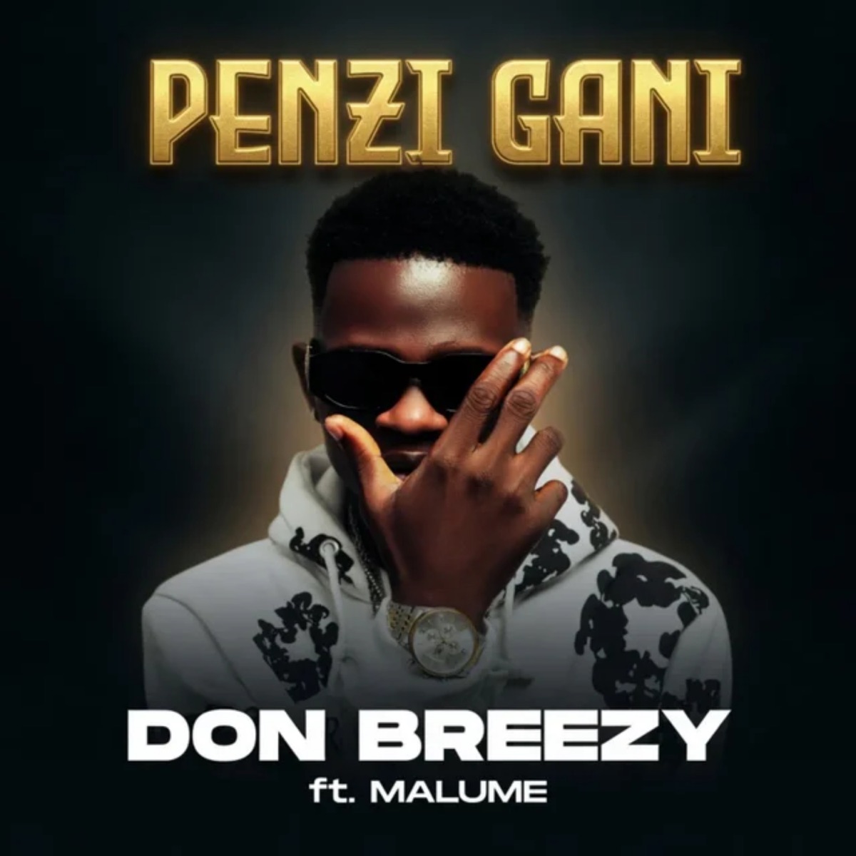 Penzi Gani (feat. Malume) - Single by Don Breezy album cover