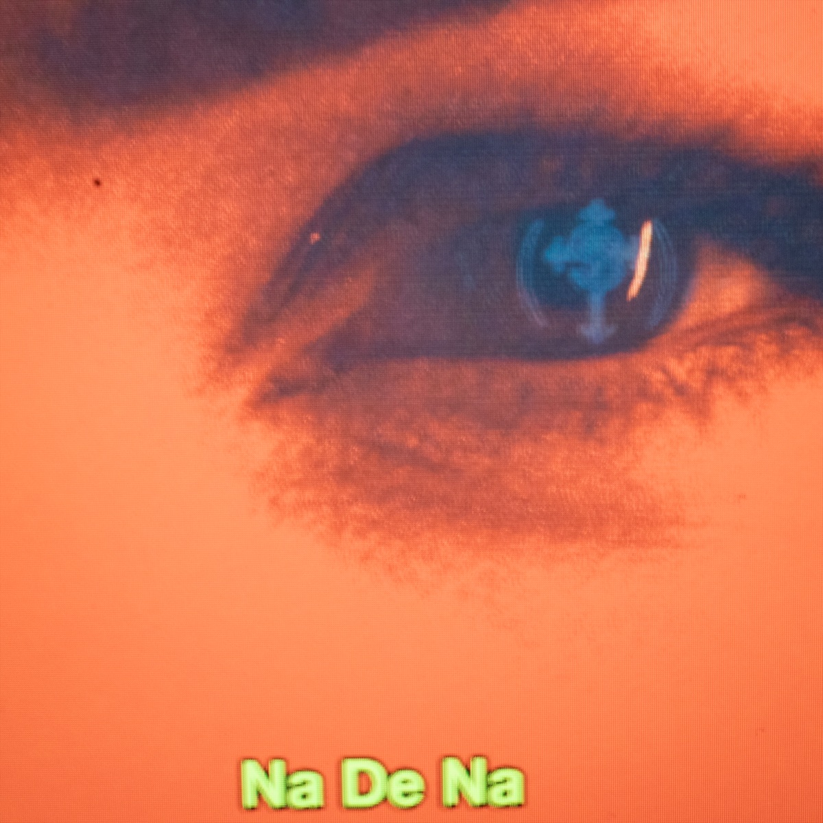 Na de Na - Single by Santo Dinero & Lil Benjas album cover