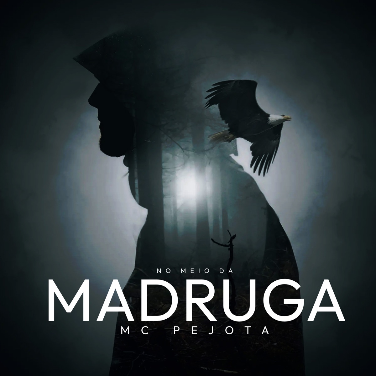 No Meio da Madruga (feat. Castro Beatz) - Single by MC Pejota album cover
