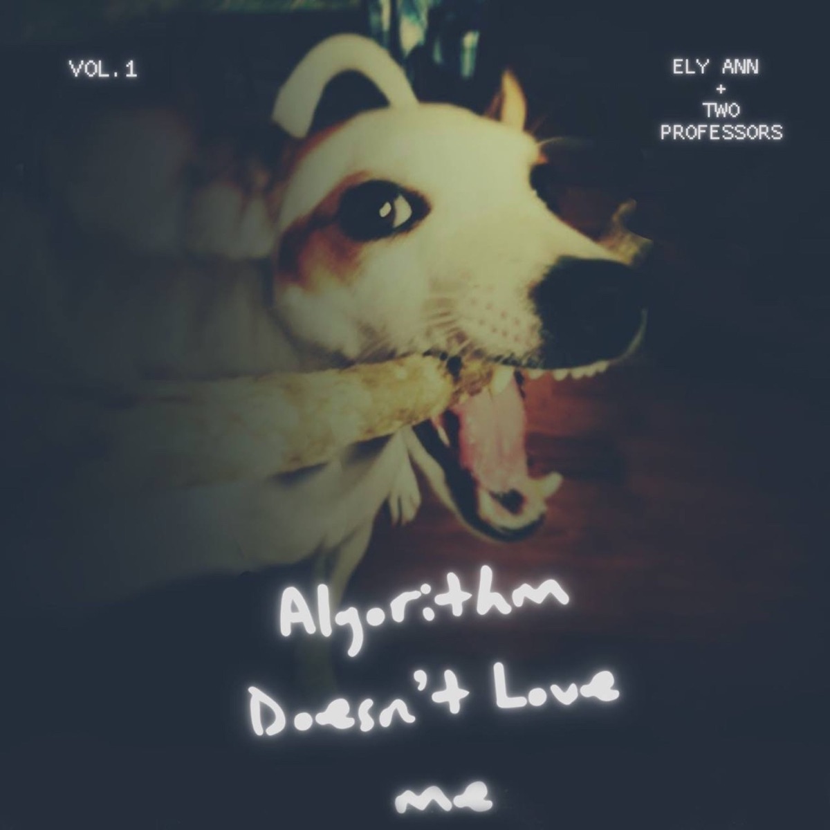 Algorithm Doesn't Love Me by ELY ANN & Two Professors album cover
