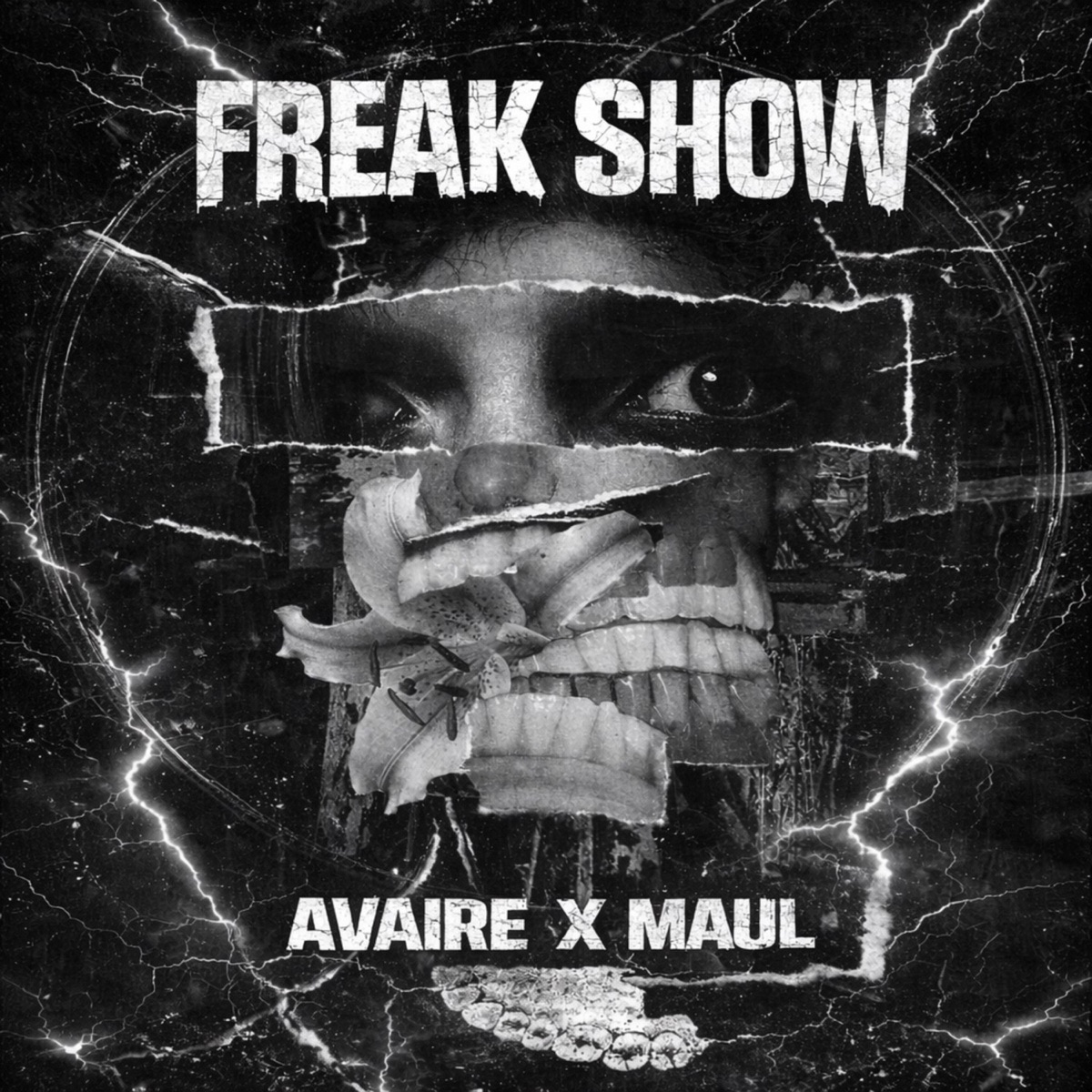 Freak Show - Single by Maul & Avaire album cover