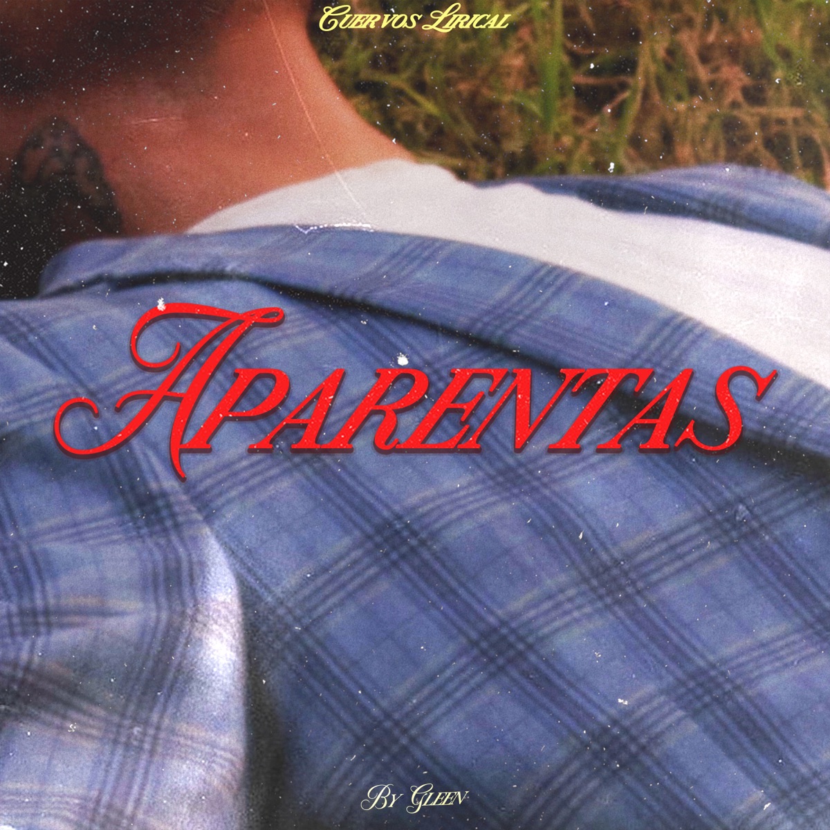 Aparentas - Single by Cuervos Lirical album cover